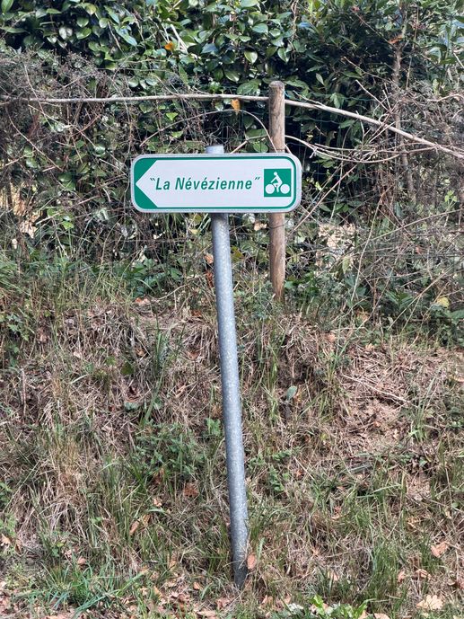 Een foto toegevoegd aan een locatie
