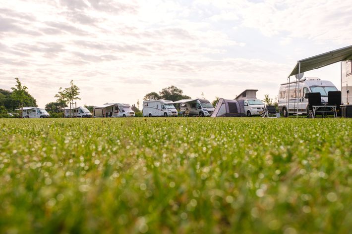 Camperplaats Vechtdal Hooglanders
