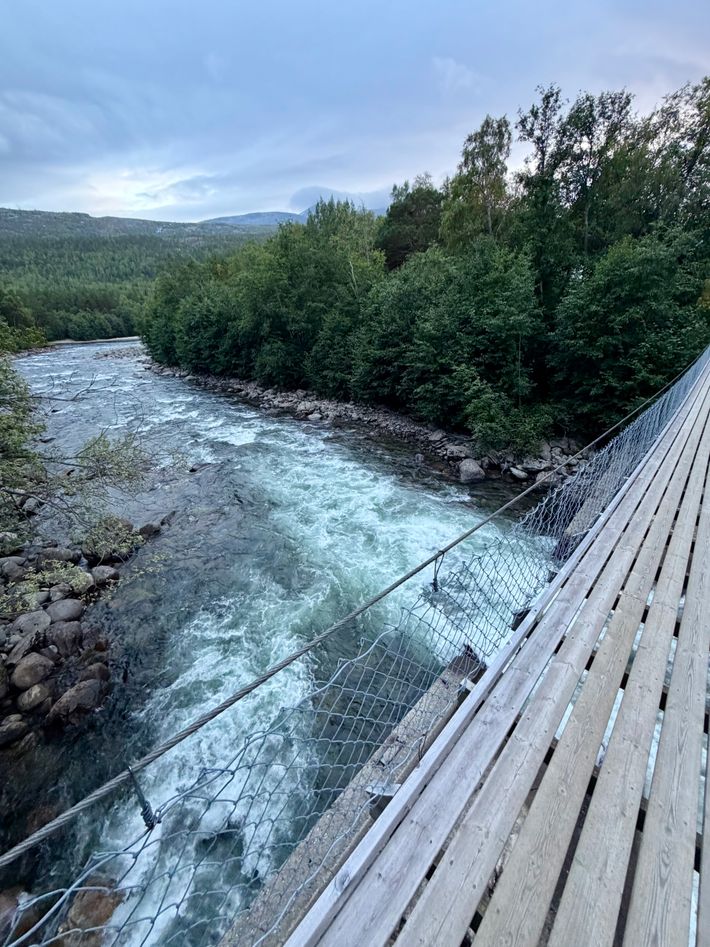 Hestbrinken Storjord