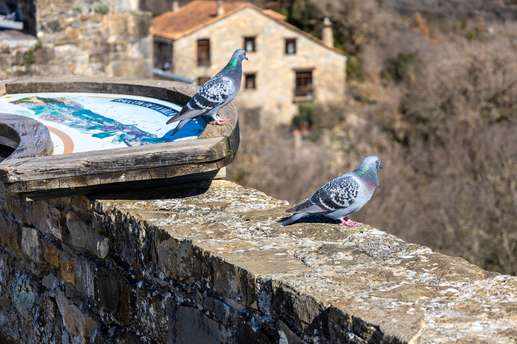 Aggiunta una foto a una posizione