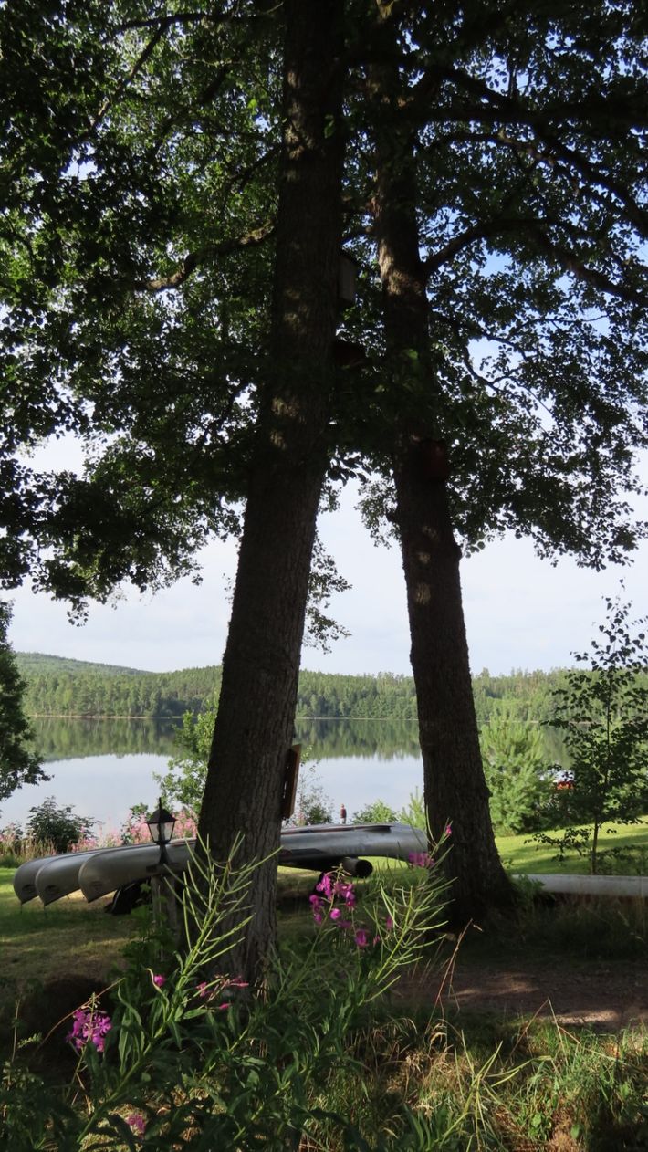 Ramoa Adventure Village