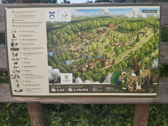 Camp Gaalgebierg