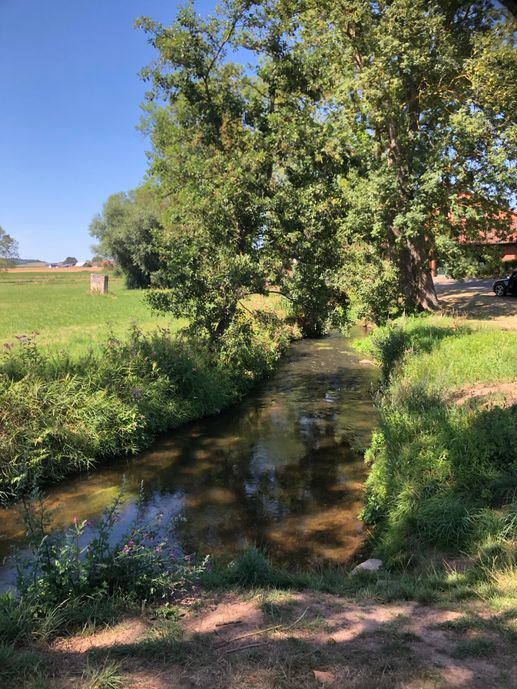 Added a photo to a location
