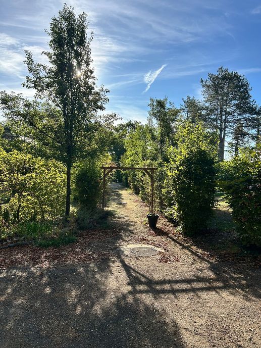 Een foto toegevoegd aan een locatie