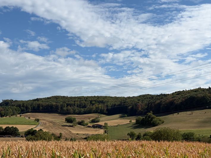 Kreiterhof Egerten