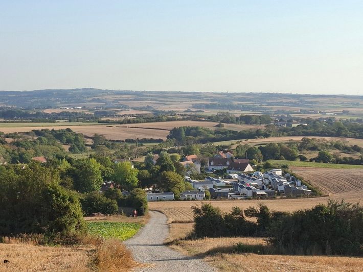 Les Primevères
