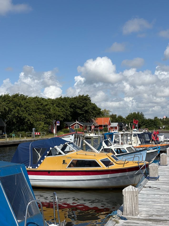 Stauning Havn