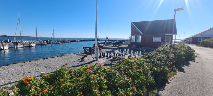 Oddesund Nord Lystbåde- og Fiskerihavn