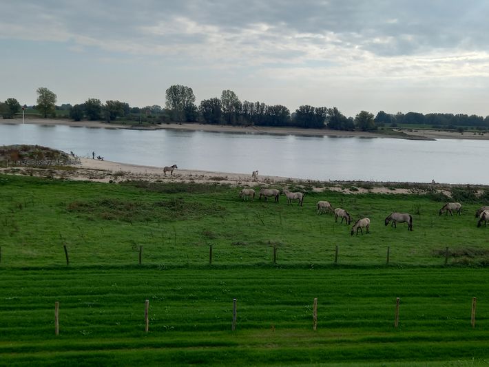 Pleisterplaats Bol Varik