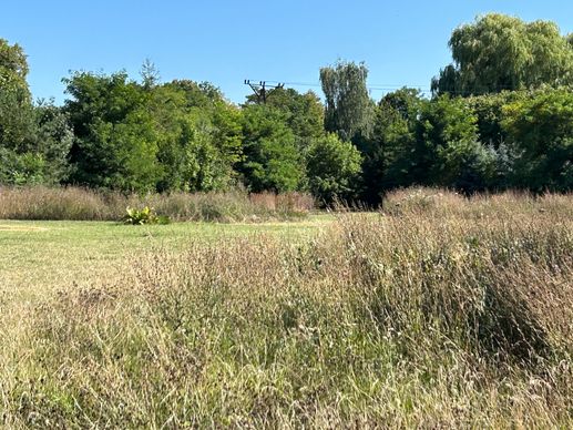Een foto toegevoegd aan een locatie