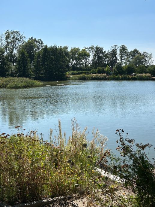 Een foto toegevoegd aan een locatie