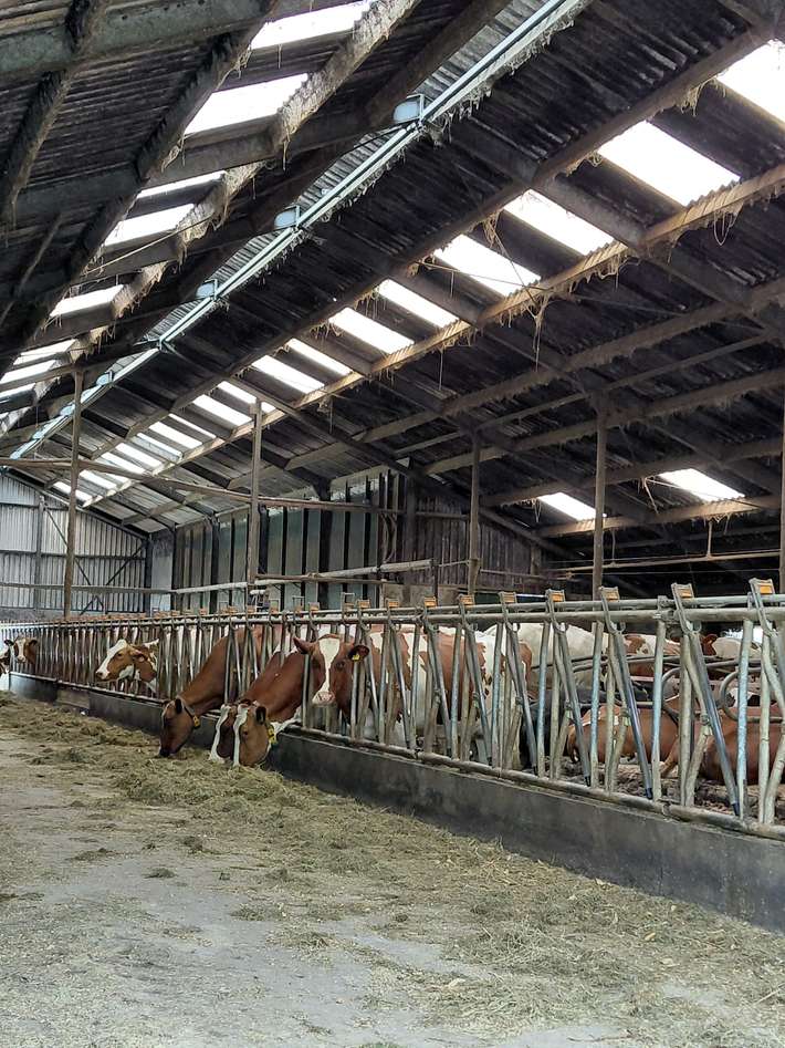 Camping de Prinsenhoeve