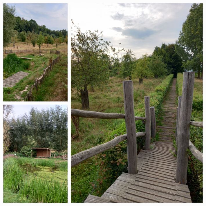 Domein paddenbroek