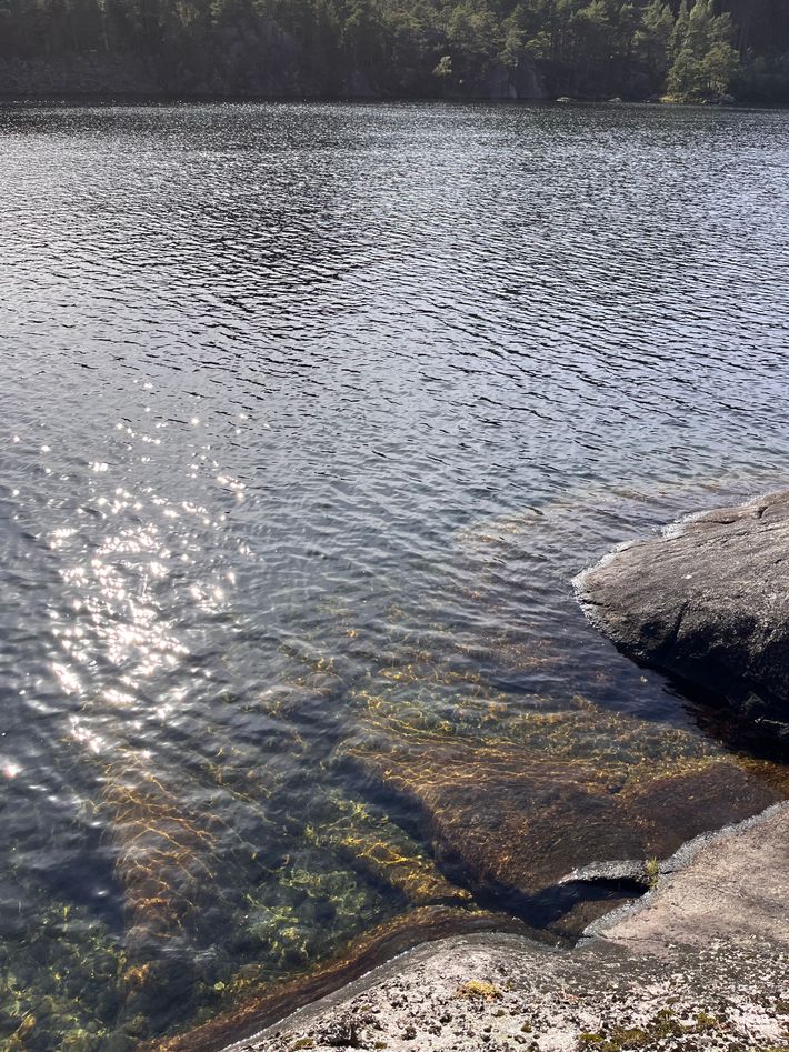 Botnevann Rasteplass