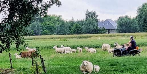 Einem Ort wurde ein Foto hinzugefügt