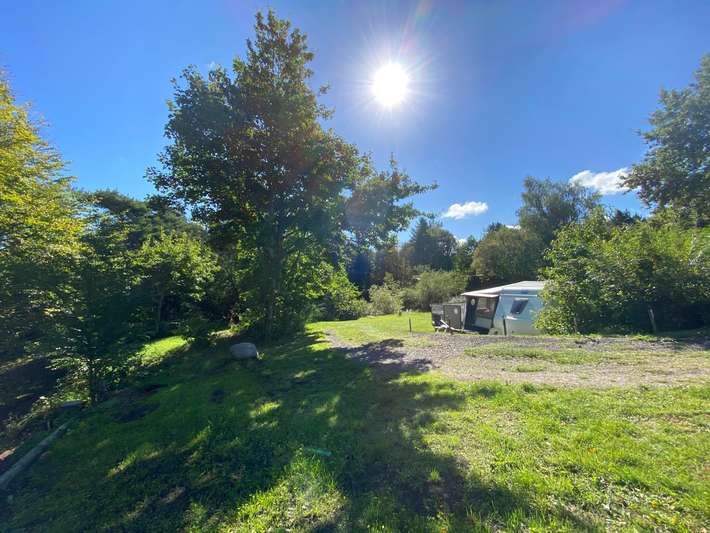 Tolne Camping