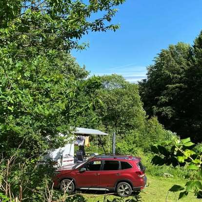 Tolne Camping