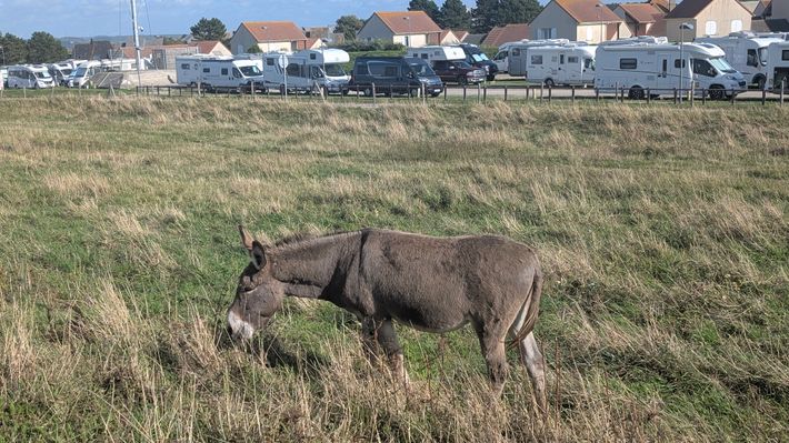 Aire camping-car Le Tréport (falaise)
