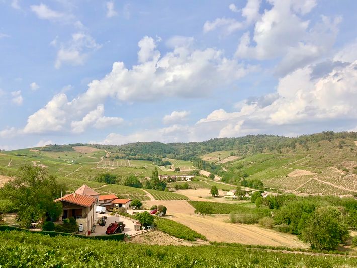 Domaine aufranc