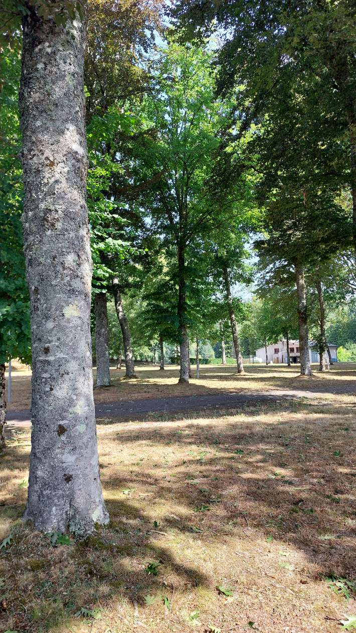 Camping Les Lignières