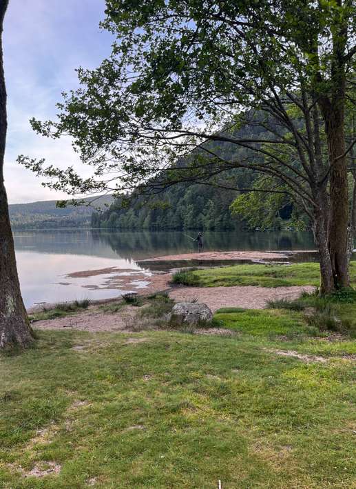 Een foto toegevoegd aan een locatie