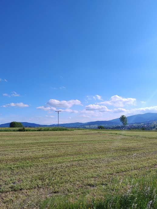 Añadió una foto a una ubicación