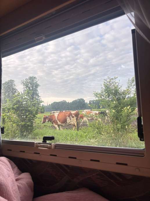 Einem Ort wurde ein Foto hinzugefügt