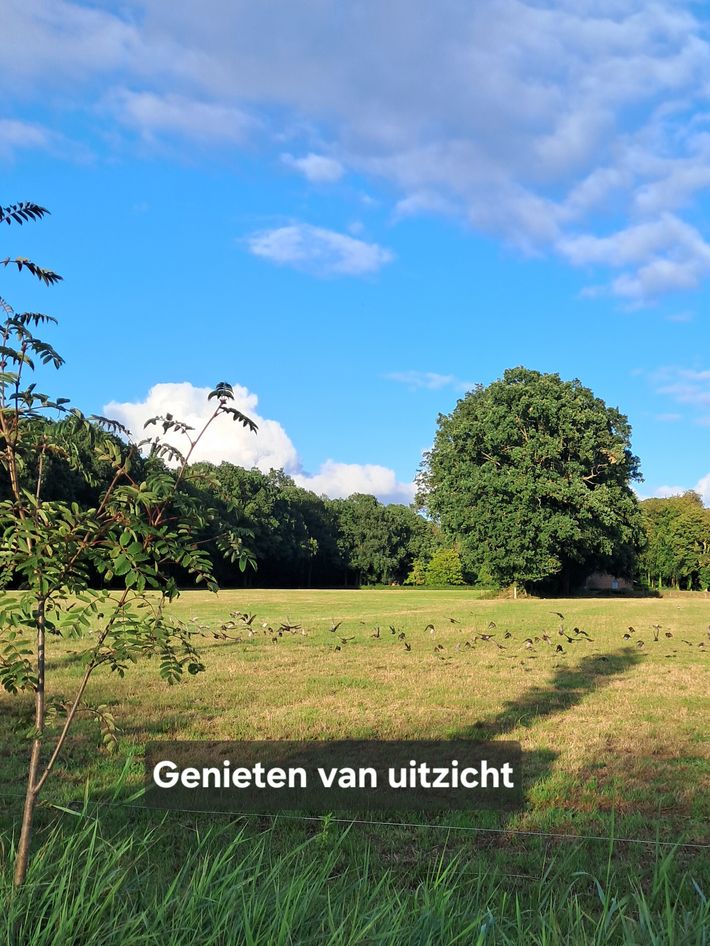 Camperplaats Frieswijk