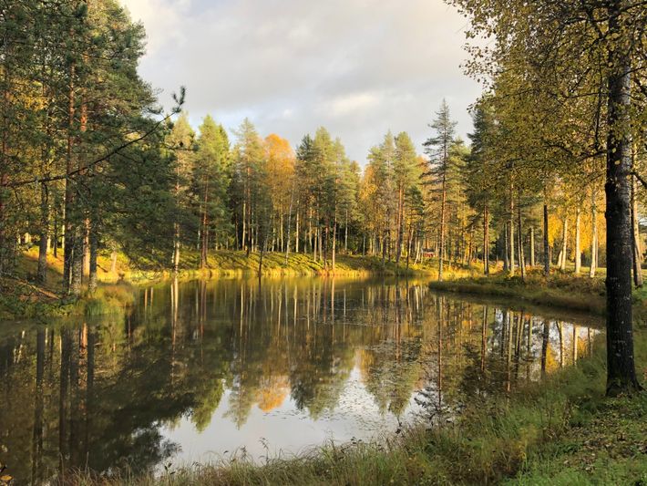 Vännäs Bad & Camping