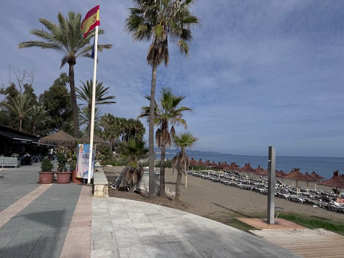 Playa de San Perdro de Alcantara