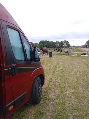 Farm camping and stable de Blesshof in IJzendijke, Middenweg 4 Zeeland