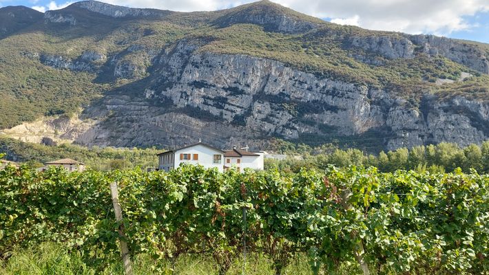 Agriturismo Revena