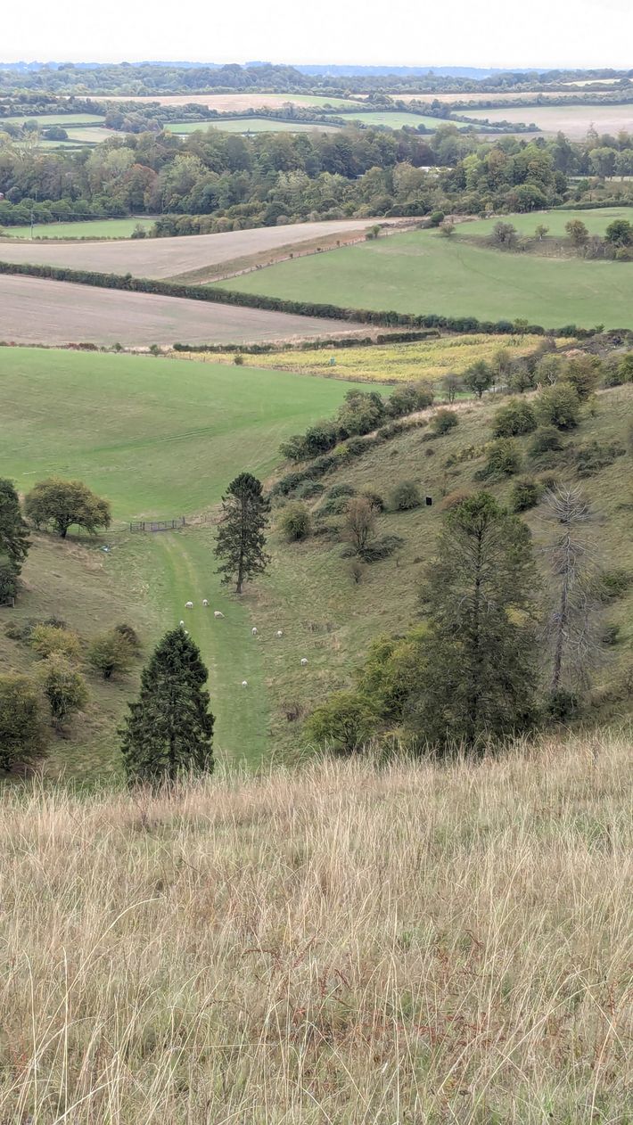 White Hill Car Park