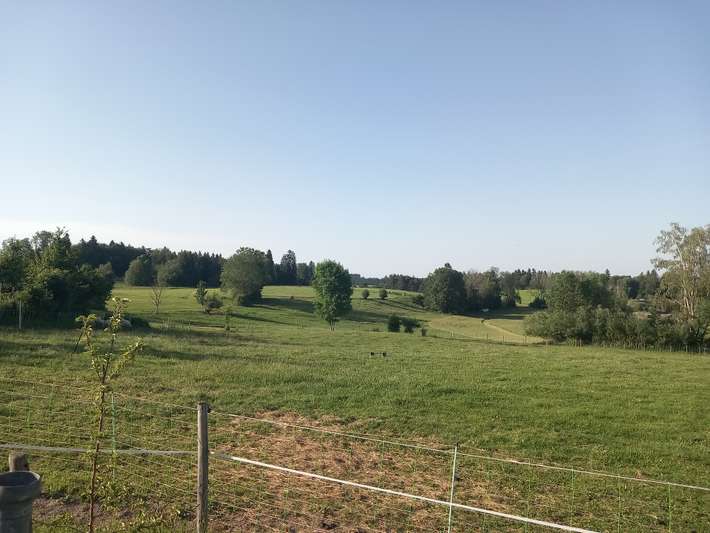 Wohmobilstellplatz Schönewald