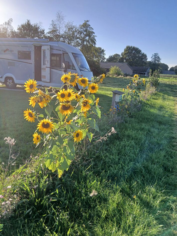 Camperplaats Hoeve Herlaerbosch