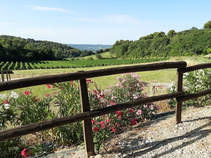 Domaine de Lucena