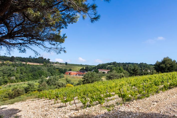 Domaine de Lucena