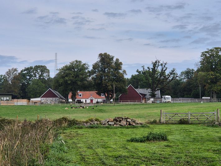 Ormanäsgården