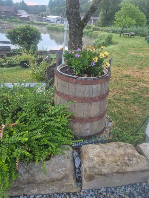 Added a photo to a location
