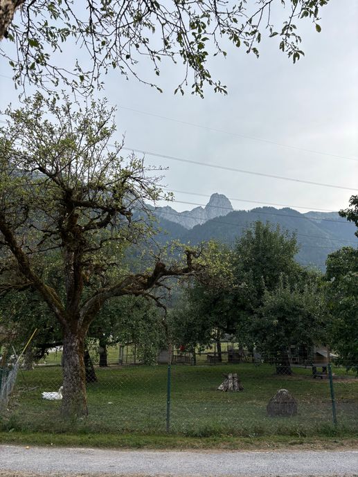 Added a photo to a location