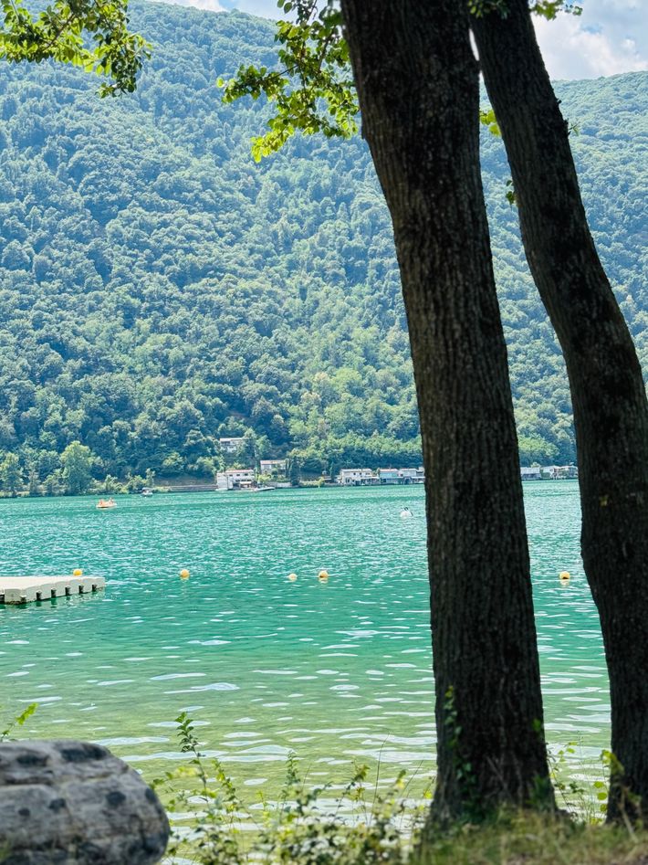 Camping  Monte Generoso