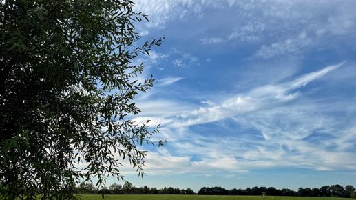 Een foto toegevoegd aan een locatie