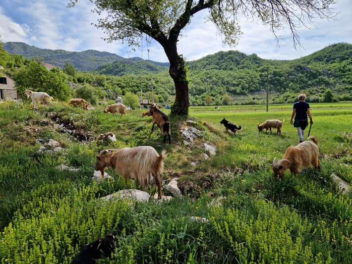Etno village Djedovina