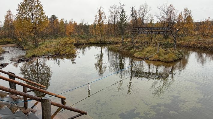 Kiilopää Caravan Park and Camping