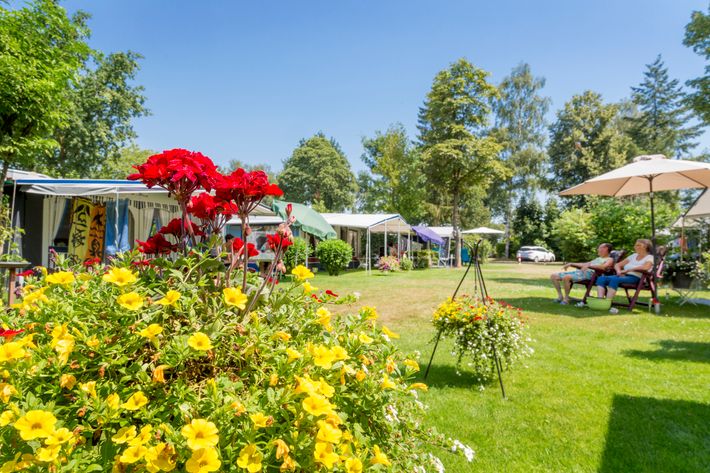 Camping de Spaendershorst, Eldorado