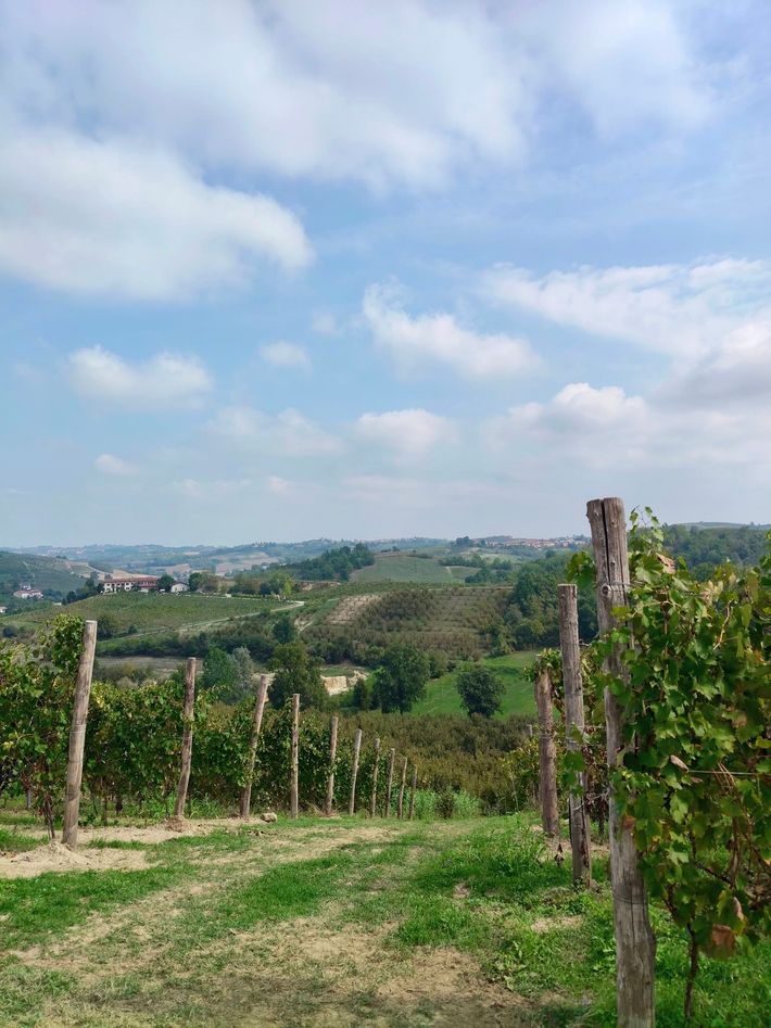 Agriturismo Cascina Gran Collina