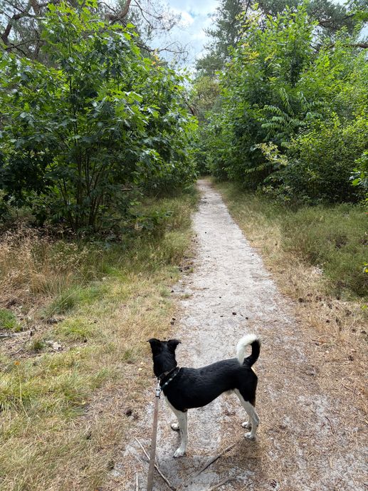 Aggiunta una foto a una posizione