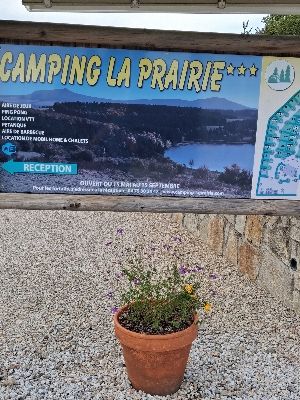 Added a photo to a location