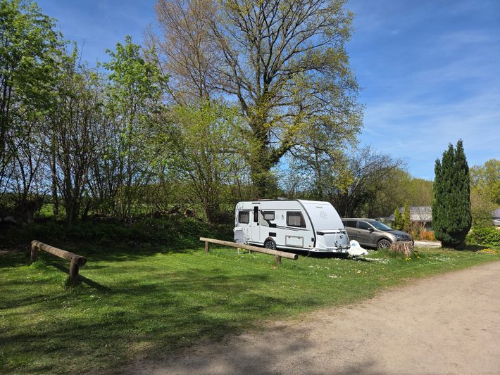Campingplatz Safari