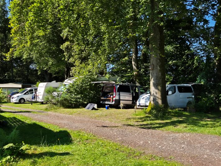 Campingplatz Safari